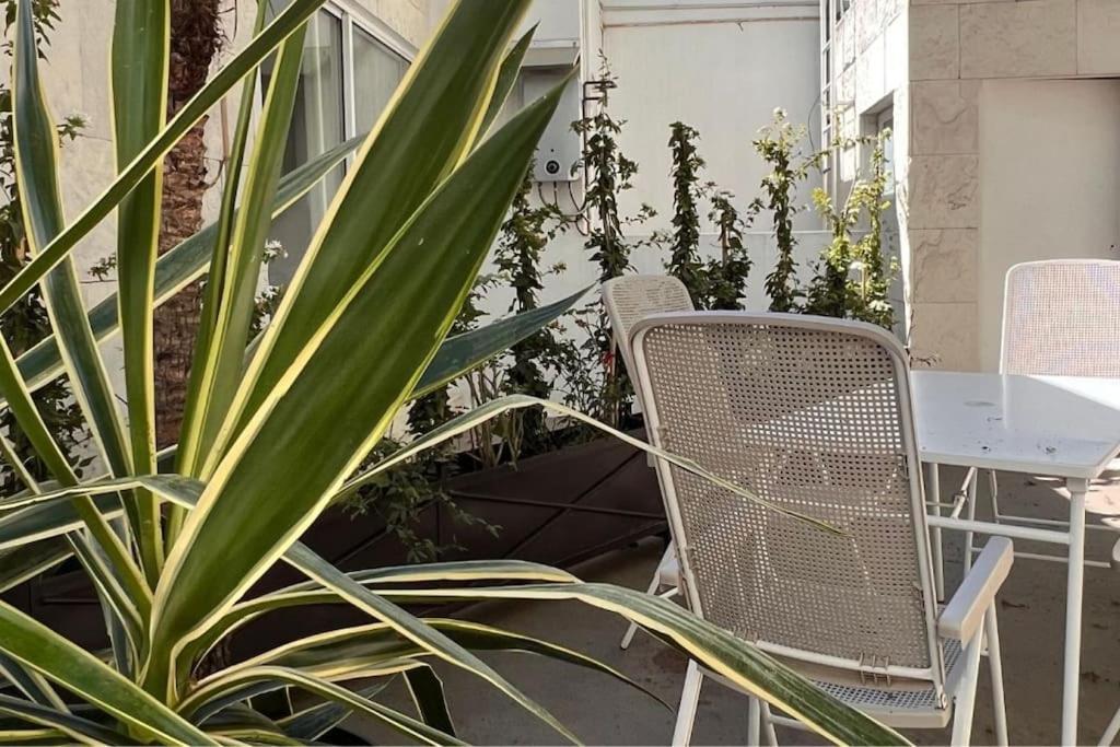 Condesa Residence Amsterdam D Sunny 2Bed 1Bath Apt In Condesa مدينة مكسيكو المظهر الخارجي الصورة