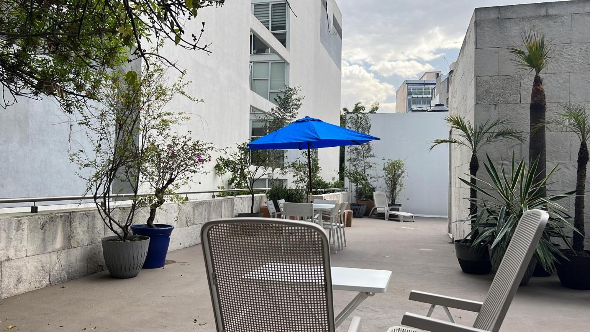 Condesa Residence Amsterdam D Sunny 2Bed 1Bath Apt In Condesa مدينة مكسيكو المظهر الخارجي الصورة