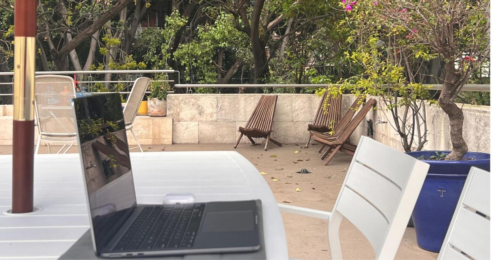 Condesa Residence Amsterdam D Sunny 2Bed 1Bath Apt In Condesa مدينة مكسيكو المظهر الخارجي الصورة