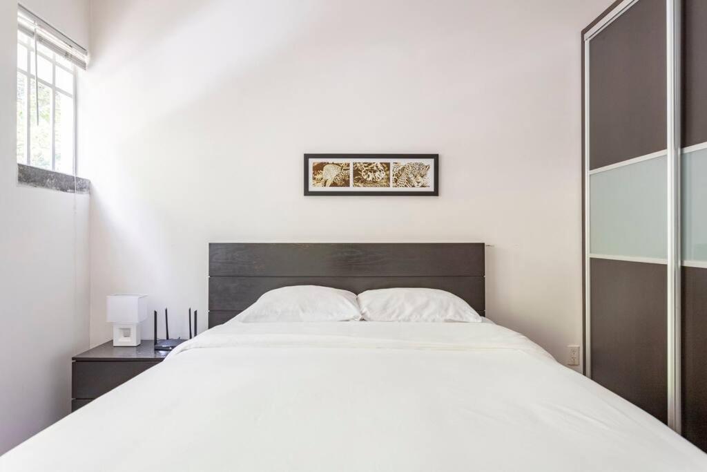 Condesa Residence Amsterdam D Sunny 2Bed 1Bath Apt In Condesa مدينة مكسيكو المظهر الخارجي الصورة