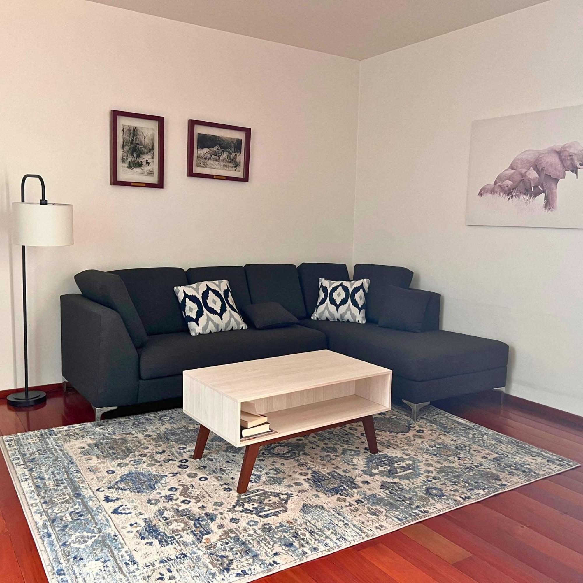 Condesa Residence Amsterdam D Sunny 2Bed 1Bath Apt In Condesa مدينة مكسيكو المظهر الخارجي الصورة